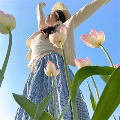 伤物语3:冷血篇 在线观看